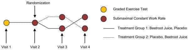 Dietary Nitrate Supplementation Improves Exercise Performance and Decreases Blood Pressure in COPD Patients